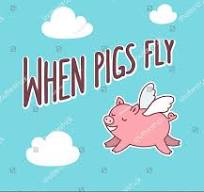 Pigs fly.jpeg