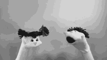 ShadyTonk.gif