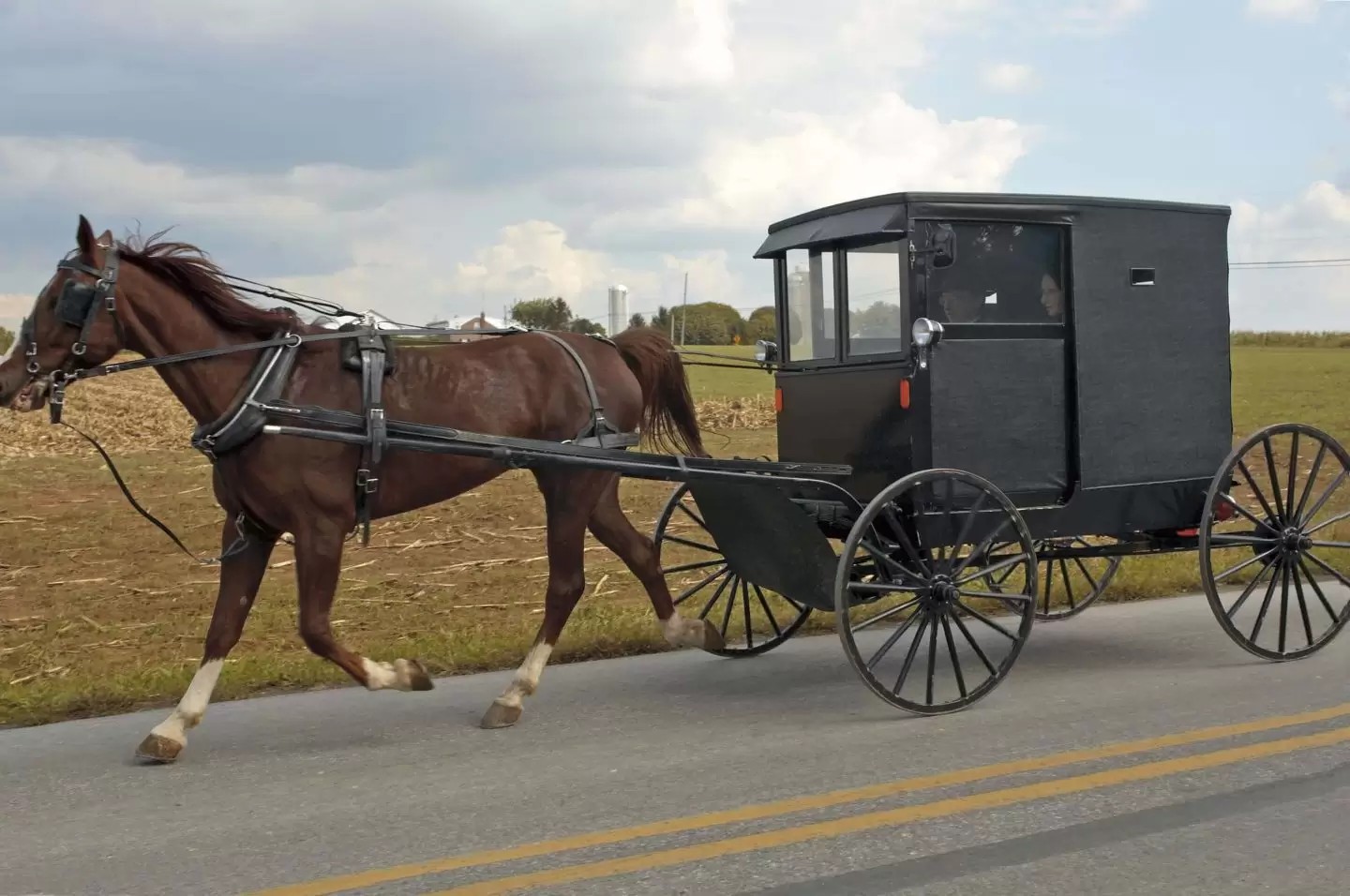 amish_buggy_GXCP8QG.original2.original.jpeg