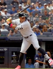 Judge stance.png