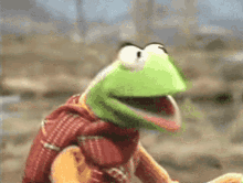 kermit-muppets.gif